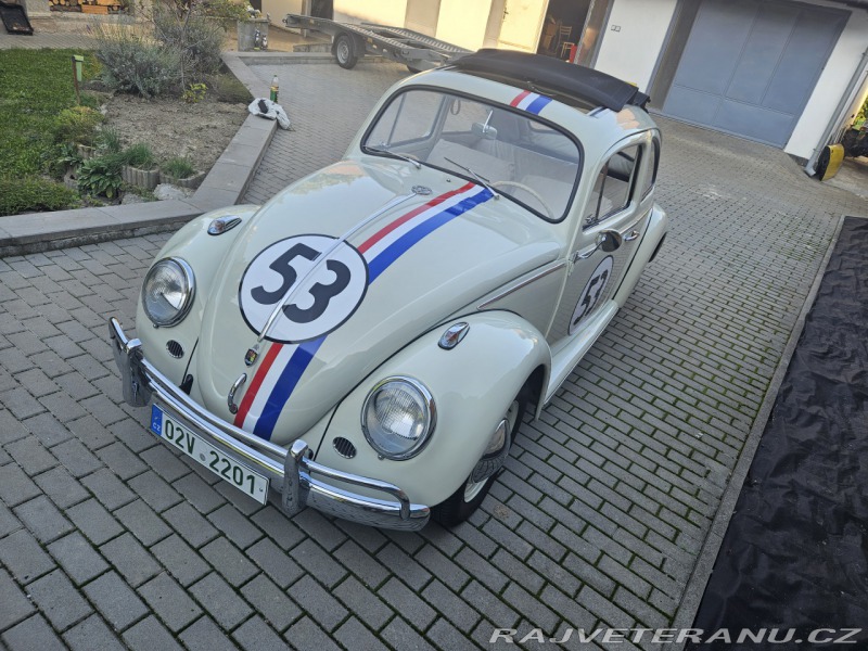 Volkswagen Brouk 11