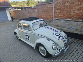 Volkswagen Brouk 11 1963