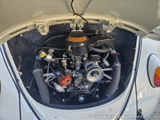 Volkswagen Brouk 11 1963