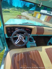 Chevrolet C/K C 10 1975