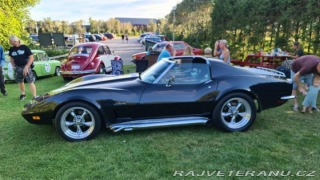 Chevrolet Corvette Stingray 5.7 V8 1973