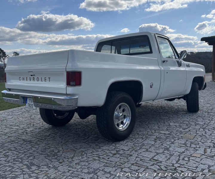 Chevrolet C/K C10 DELUXE 1973