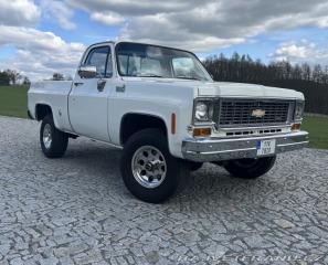 Chevrolet C/K C10 DELUXE 1973