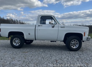 Chevrolet C/K C10 DELUXE 1973