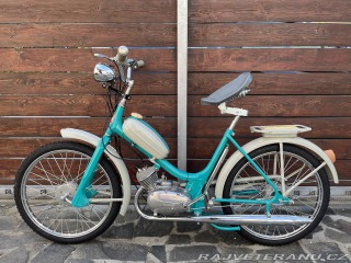 Jawa  Stadion S11