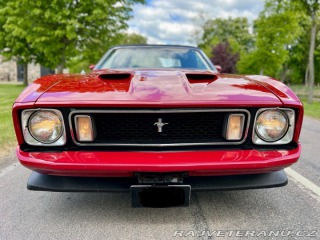 Ford Mustang Convertible 1973