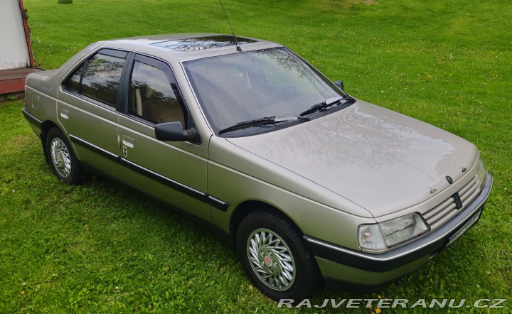 Peugeot 405 1.9i 1989