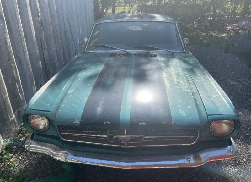 Ford Mustang V8