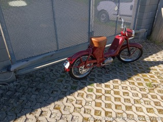 Jawa 50 550 pařez 1955