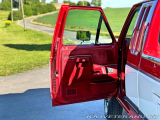 Ford F 250 7.5 V8 XLT 4x4 Manuál 1991