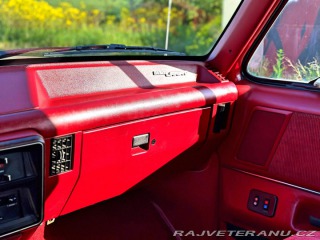 Ford F 250 7.5 V8 XLT 4x4 Manuál 1991