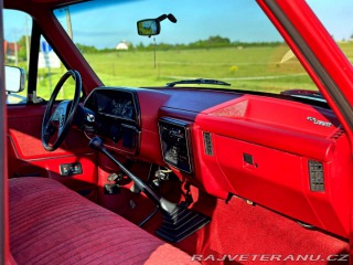 Ford F 250 7.5 V8 XLT 4x4 Manuál 1991