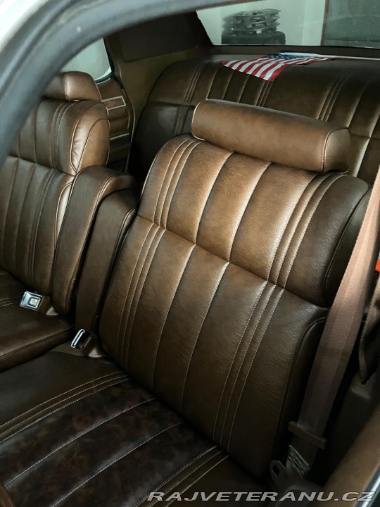 Ford LTD 351 V8 1977