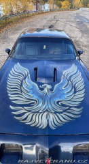 Pontiac Firebird 5.0 V8