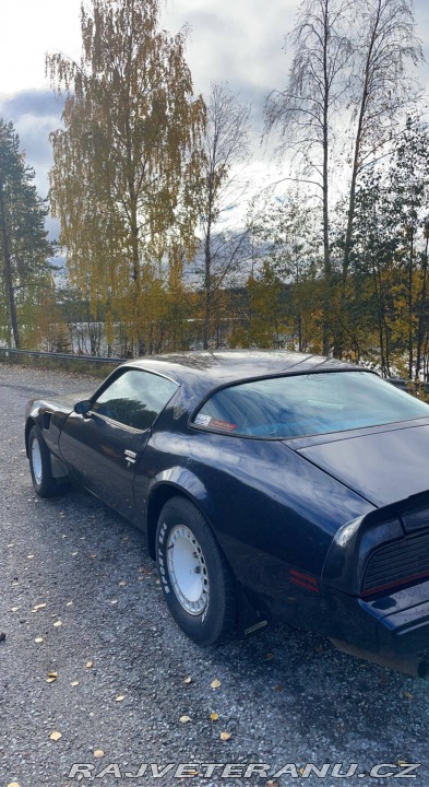 Pontiac Firebird 5.0 V8 1981