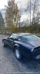 Pontiac Firebird 5.0 V8 1981