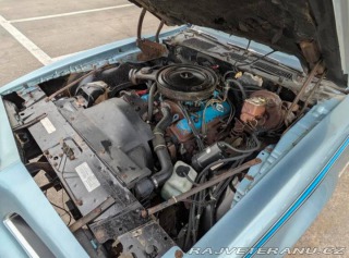Pontiac Firebird Formula 1978