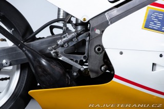 Honda Ostatní modely RS 250 RF 1992