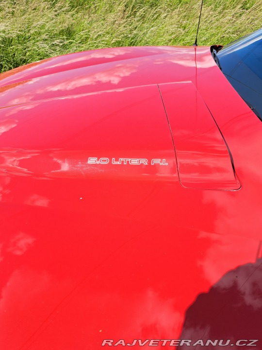 Pontiac Firebird Formula 1987