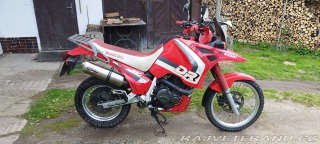Suzuki DR 800s Big