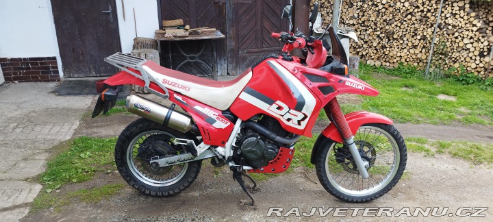Suzuki DR 800s Big 1990