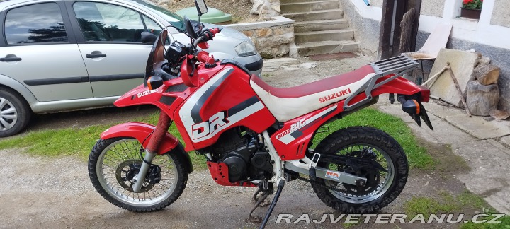 Suzuki DR 800s Big 1990