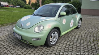 Volkswagen Brouk 
