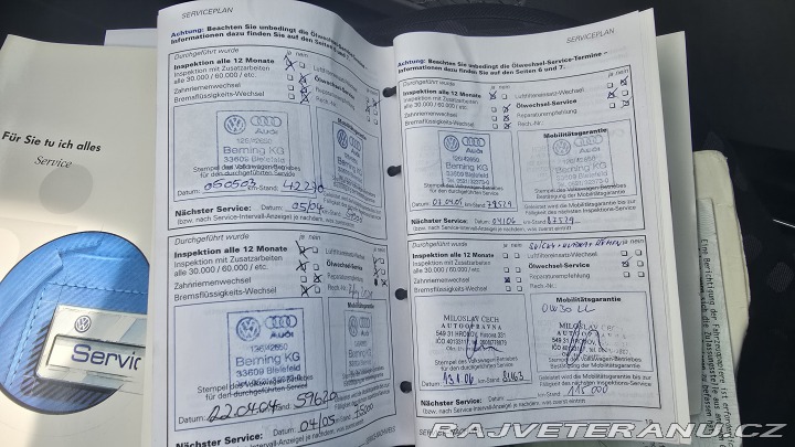Volkswagen Brouk 2000