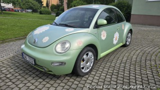 Volkswagen Brouk  2000