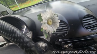 Volkswagen Brouk  2000