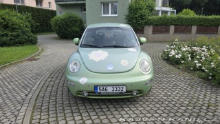 Volkswagen Brouk  2000