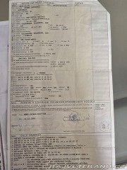 Volkswagen Brouk  2000