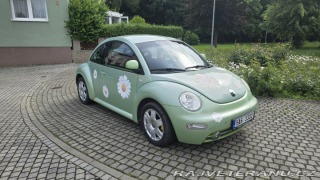 Volkswagen Brouk  2000