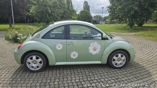 Volkswagen Brouk  2000