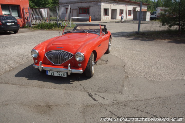 Austin Healey 100-4 1955