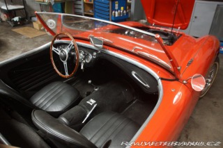 Austin Healey 100-4 1955