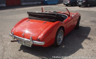 Austin Healey 100-4 1955