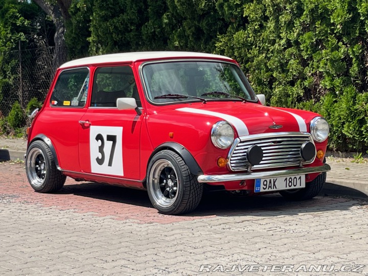 Mini Cooper Mini Cooper S Works 1992