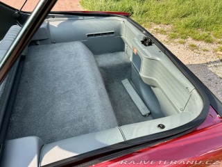 Pontiac Firebird  1991