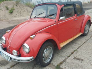 Volkswagen Brouk 11
