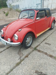 Volkswagen Brouk 11 1980
