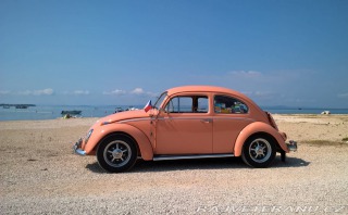 Volkswagen Brouk 