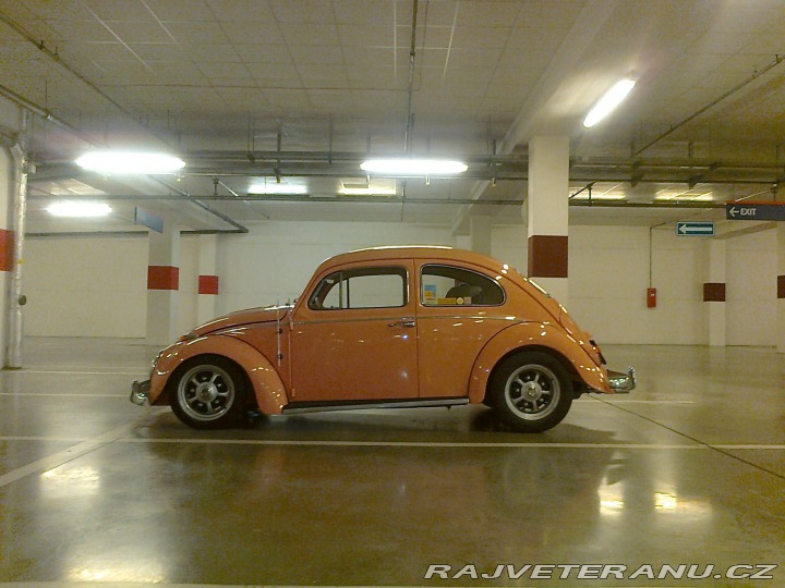 Volkswagen Brouk  1962