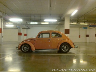 Volkswagen Brouk  1962