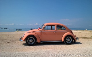 Volkswagen Brouk  1962