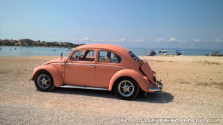 Volkswagen Brouk  1962