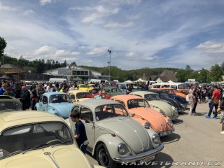 Volkswagen Brouk  1962