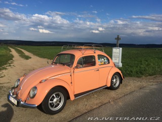 Volkswagen Brouk  1962