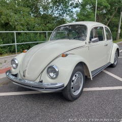 Volkswagen Brouk 