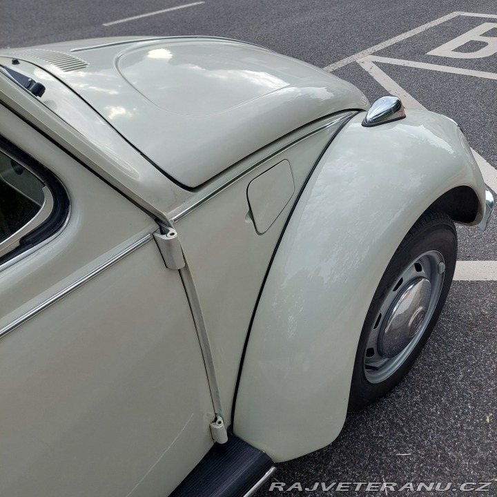 Volkswagen Brouk 1973